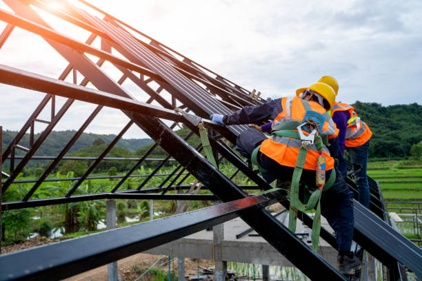 Best Roof Gutter Cleaning  in Pomona, KS