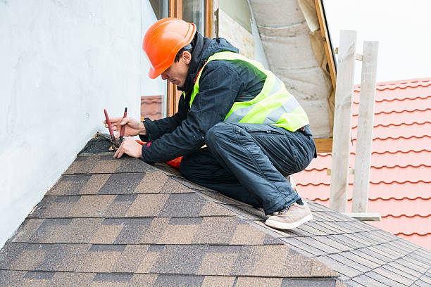 Best Roof Gutter Cleaning  in Pomona, KS